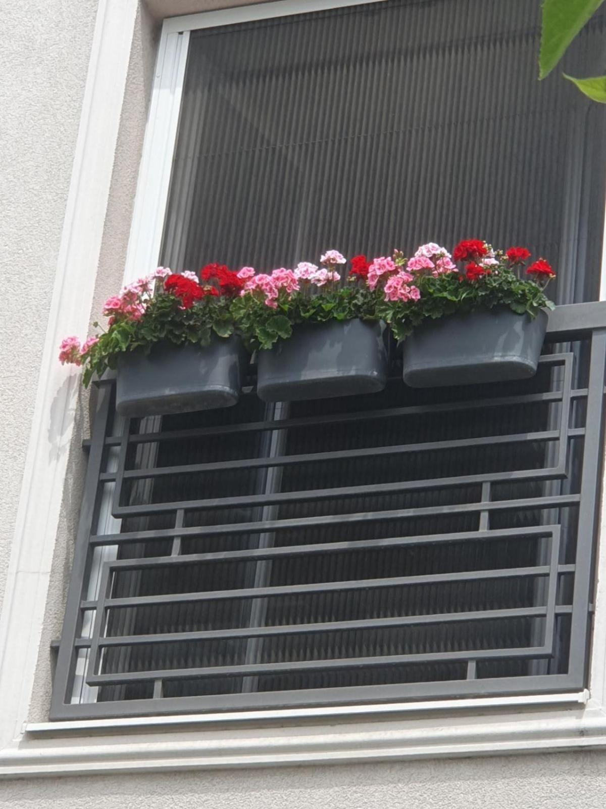 Apartman Rea