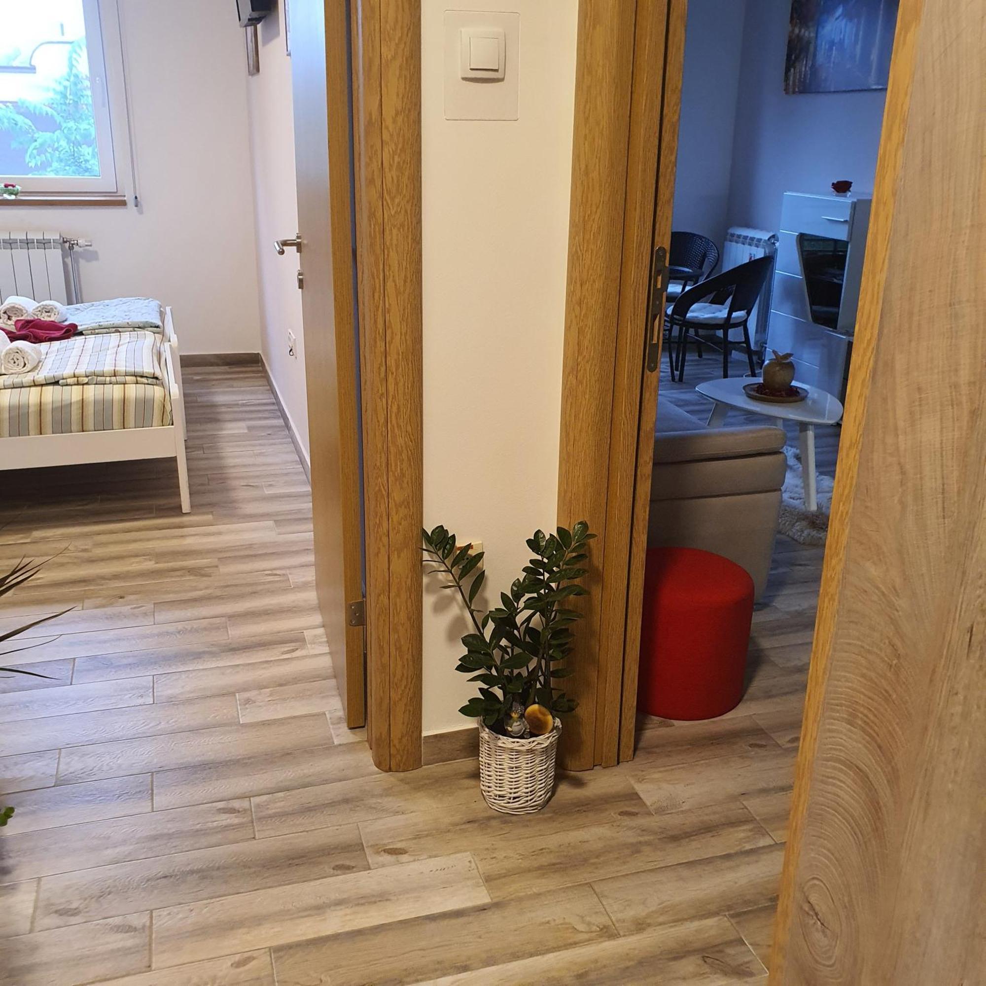 Apartment Rea Subotica